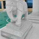 许昌 白麻花岗岩动物异形石雕-大象