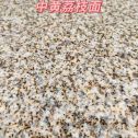 许昌黄金麻中黄荔枝面